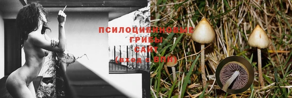 не бодяженный Елизово